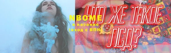 эйфоретик Арсеньев