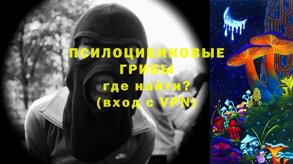 гидропоника Алзамай