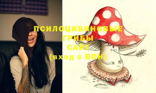 эйфоретик Арсеньев