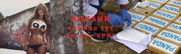 эйфоретик Арсеньев