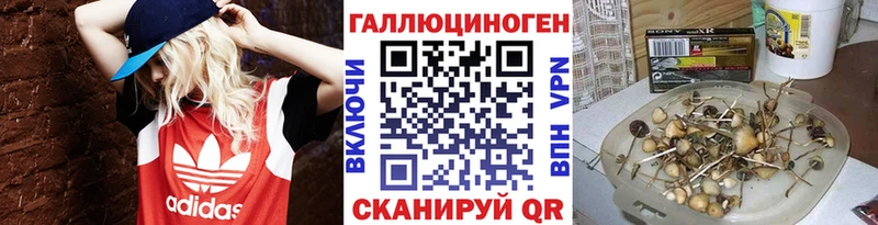 Псилоцибиновые грибы прущие грибы Берёзовский